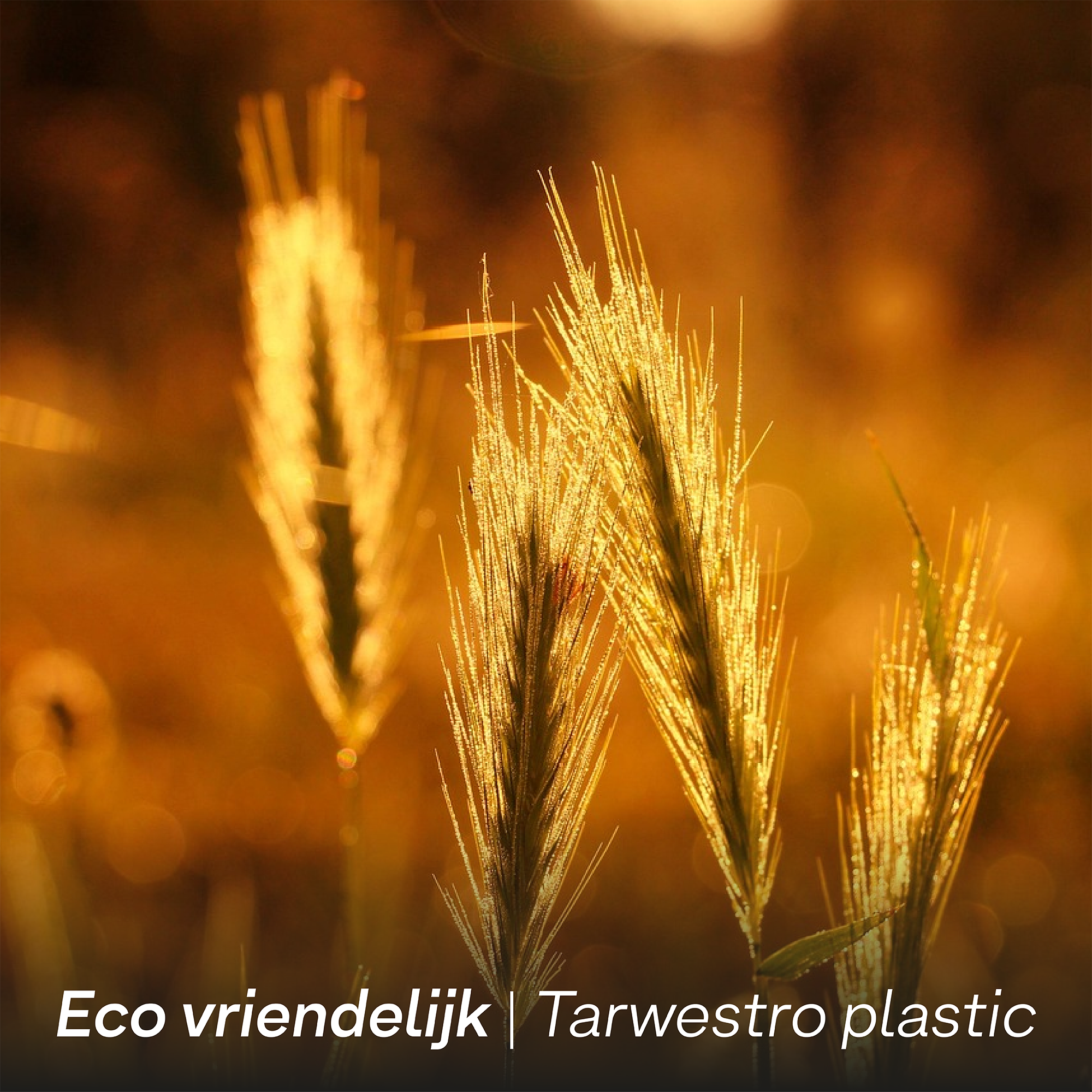 Stainless Steel Cutting Board